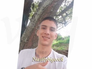 Nasttybigcock