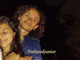 Nattandjunior