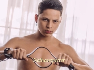 Nethanspecter