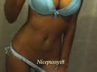 Nicepussy18