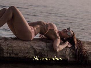 Nicesuccubus