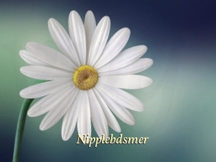 Nipplebdsmer
