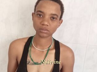 Njdivine
