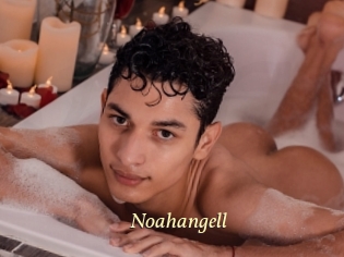 Noahangell