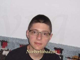 Norbertobadzso