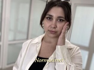 Normaarnet