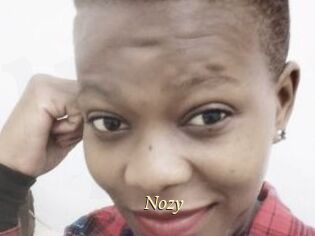 Nozy