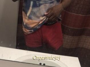 Orgasmic313
