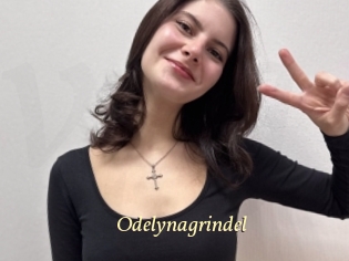 Odelynagrindel