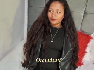 Orquidea18