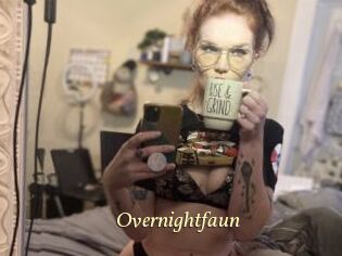 Overnightfaun