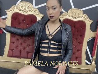 PAMELA_NOLIMITS