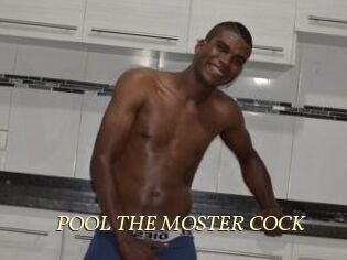POOL_THE_MOSTER_COCK