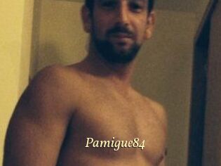 Pamigue84