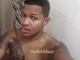 Parker_Maze