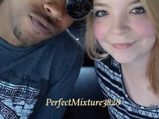 PerfectMixture3828