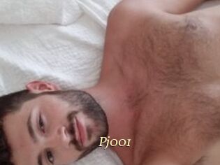 Pj001