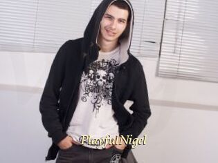 PlayfulNigel