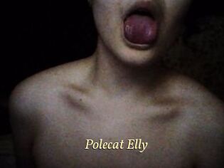 Polecat_Elly