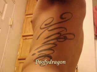 Poofydragon