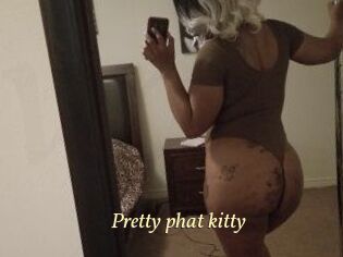 Pretty_phat_kitty