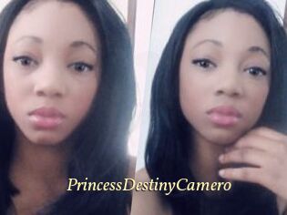 PrincessDestinyCamero