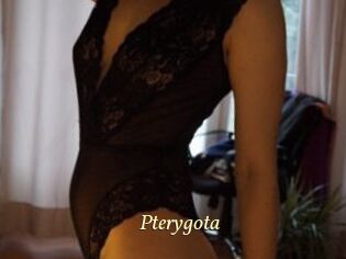 Pterygota Vidéo porno gratuite