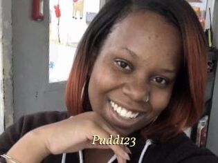 Pudd123
