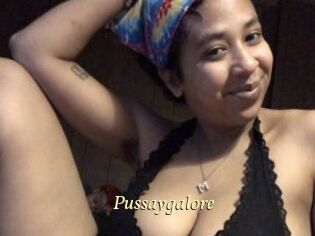 Pussaygalore
