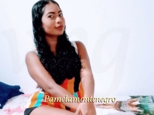 Pamelamontenegro