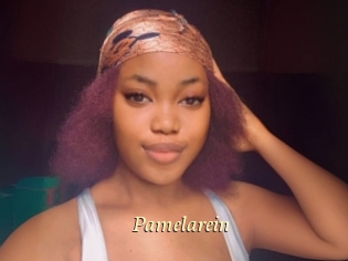 Pamelarein