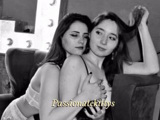 passionatekittys Vidéo porno gratuite
