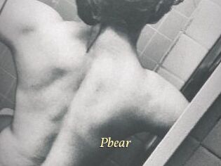 Pbear