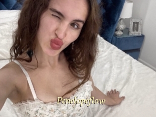 Penelopeflow