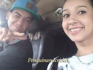Penguinandcricket