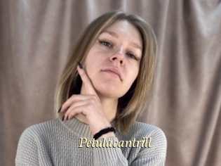 Petulacantrill
