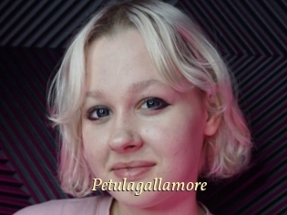 Petulagallamore