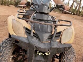 Pewnis