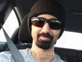 Pig_benis_25