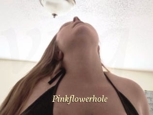 Pinkflowerhole