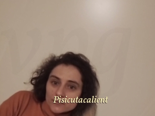 Pisicutacalient
