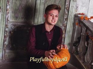 Playfulboydavid