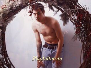 Playfultorvin