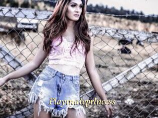 Playmateprlncess