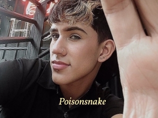 Poisonsnake