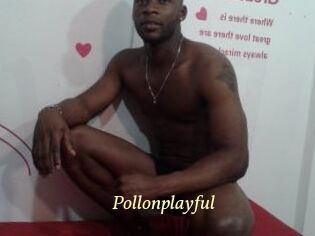 Pollonplayful