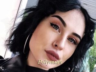 Pollymurs