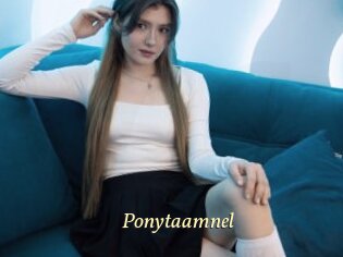 Ponytaamnel