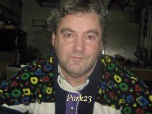 pork23 Vidéo porno gratuite