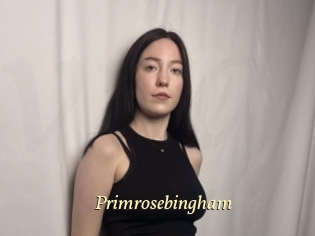 primrosebingham Vidéo porno gratuite